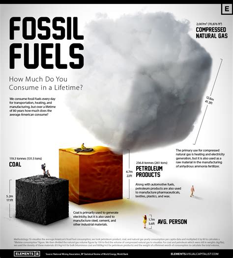 Top 62+ imagen fossil fuel examples - Abzlocal.mx