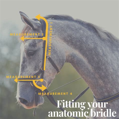 Sizing Charts – EQUI BOUTIQUE