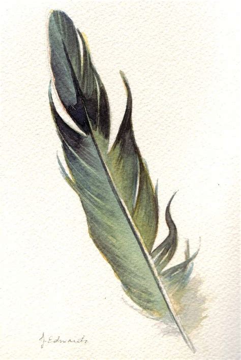 images dove feather - Google Search | Watercolor feather, Feather art ...