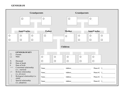 30 Free Genogram Templates & Symbols ᐅ TemplateLab