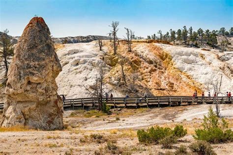 Best Hotels & Cabins NEAR Yellowstone National Park (for All Budgets)