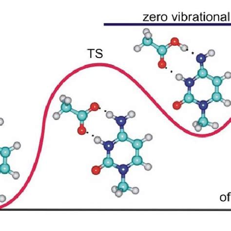 Spatial structures of complexes of DNA bases tautomers with acetic acid ...