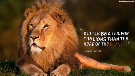 Leadership Lion Quotes Wallpaper 10718 - Baltana