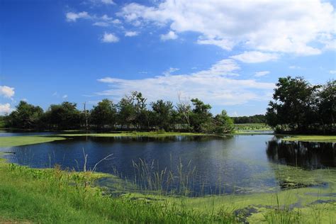 What+++ Dong Kim Photography Blog: Brazos Bend State Park