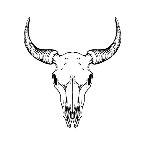 Bull Skull Illustration, Bull, Skull, Animal PNG and Vector with ...