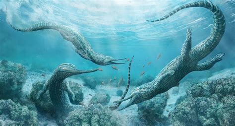 Crocodile-like prehistoric sea monster skeletons found | SYFY WIRE