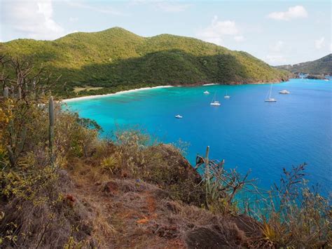 Uncommon Envy: Getting's Good to Guana Island, BVI | British Virgin ...