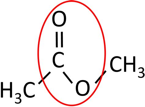 Draw the structural formula of each of the following : | KnowledgeBoat