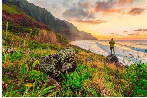 Diving in Oahu: The Most Impressive Dive Sites To Experience