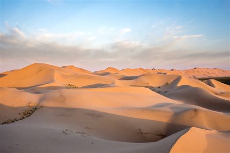 Top 20 Interesting Facts About the Gobi Desert Mongolia | Selena Travel