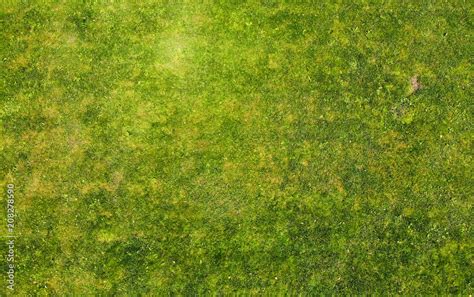 Grass texture. Aerial photo of green lawn. Stock Photo | Adobe Stock