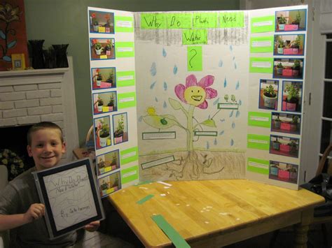 Science Project Ideas With Plants