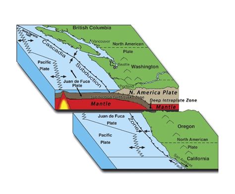 Oregon Office of Emergency Management : Cascadia Subduction Zone ...