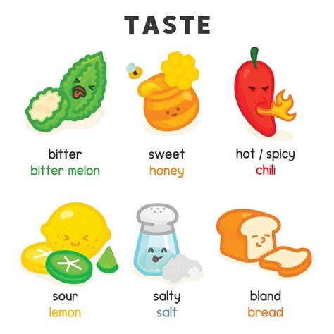 food and taste diagram chart in science subject kawaii doodle vector ...