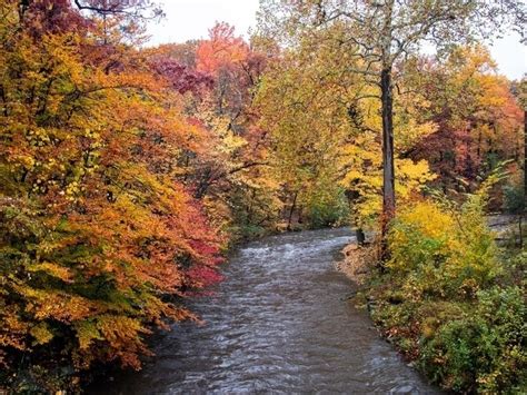 Fall Foliage Peak Map 2019: When Minnesota Autumn Leaves Are Best ...