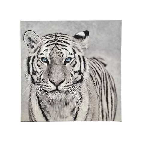 Tiger Black & white Canvas art (H)45cm x (W)45cm | DIY at B&Q