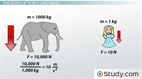 Free Fall & Air Resistance | Formula, Force & Examples - Lesson | Study.com