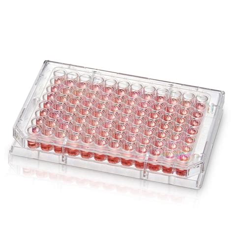 Thermo Scientific 96 Well Conical (V) Bottom Plate, Non-Treated Surface ...