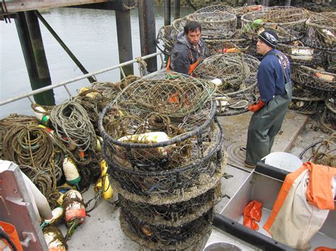 The Crab Pots that Got Away — The Nature Conservancy in Washington