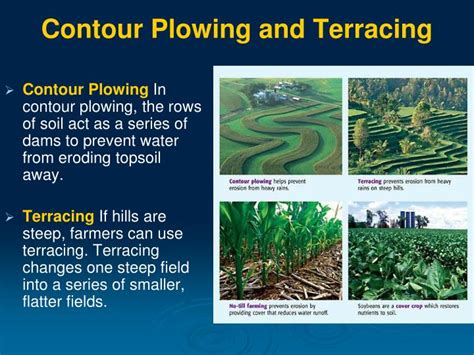 PPT - Weathering and Soil Formation PowerPoint Presentation - ID:2024794