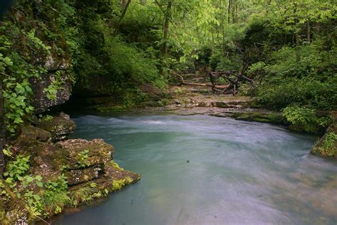 Greer Spring Photograph by Marty Koch - Fine Art America