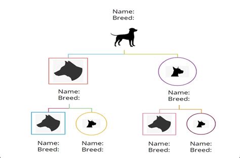 Pedigree Chart Guide: Definition, Symbols & Examples