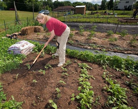 Organic Gardening, it's Benefits and Formation - Conserve Energy Future