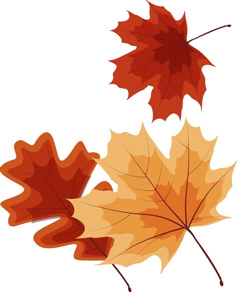 Fall Leaf Png