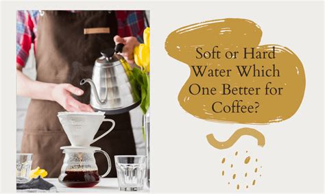 What’s The Best Water For Coffee? Does It Make Difference?