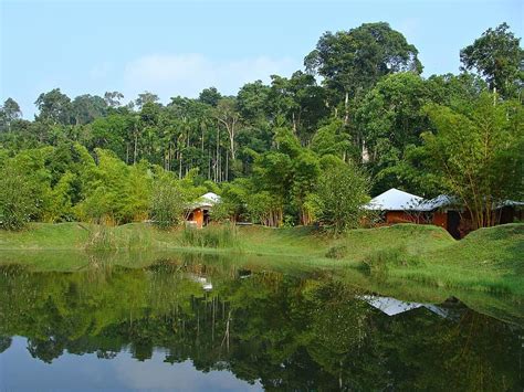 Chikmagalur Resorts for Couples in 2024 - Pickyourtrail Recommends