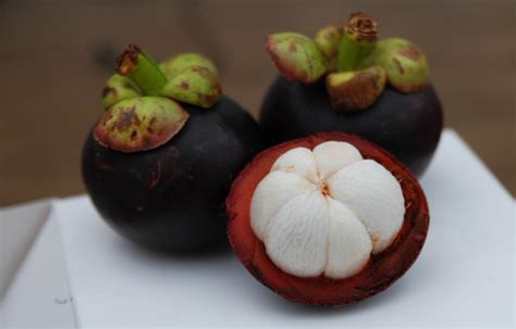 Mangosteen Fruit Benefits for Our Body - Vegetable and Fruit ...