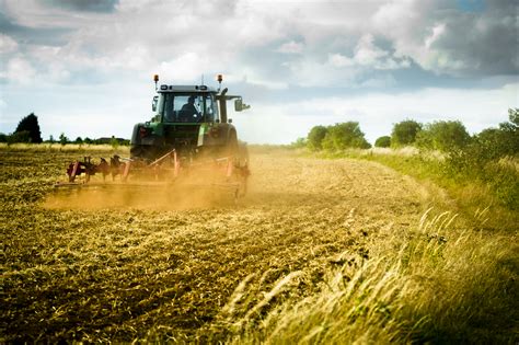 Food and farming | TheSchoolRun