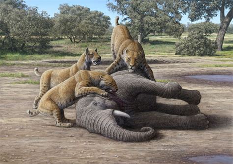 Large, violent animal packs shaped the ecosystems of the Pleistocene ...