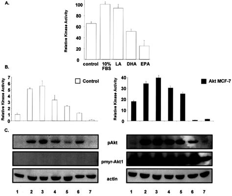 Akt kinase activity inhibited by n-3 fatty acids. (A) Kinase assay ...