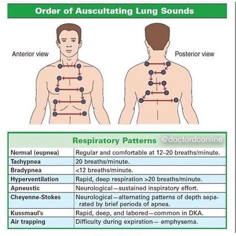 Orders of Auscultating Lungs Sound and different Respiratory Patterns ...