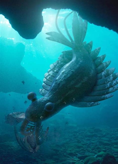 Anomalocaris | Walking With Wikis | Fandom