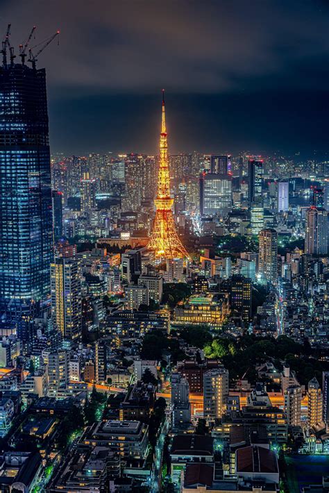 Tokyo night view | Tokyo night, Tokyo japan travel, Tokyo city