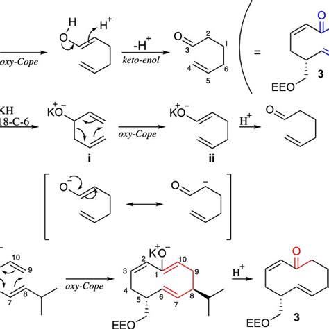 Mechanism of the Oxy-Cope rearrangement used to form intermediate 3 ...