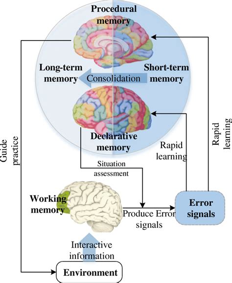 Byrne Learning Memory PDF PDF Cerebral Cortex Memory, 41% OFF