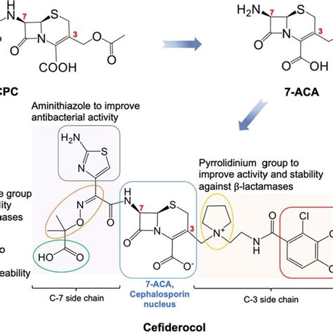 (PDF) Cephalosporins as key lead generation beta-lactam antibiotics