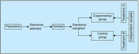 Experimental Design Diagram | Quizlet