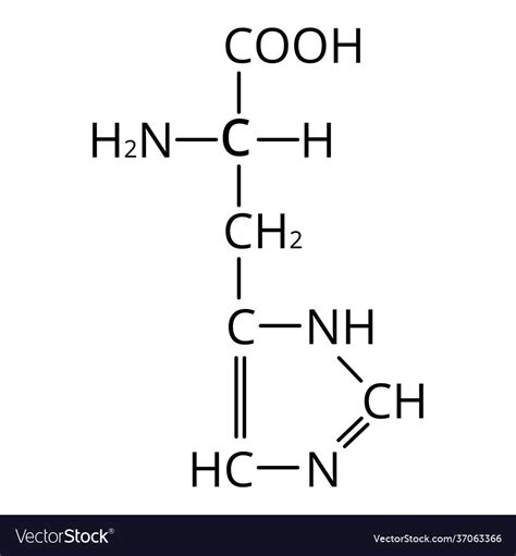 Amino acid histidine chemical molecular formula Vector Image