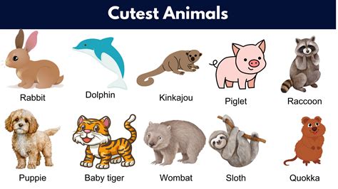 Cute Animals: List of Cutest Animals in The World - GrammarVocab