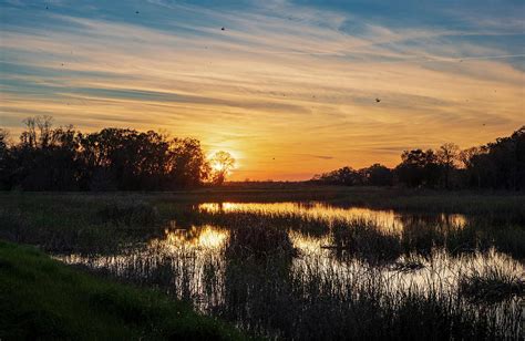 Savannah Sunset 5 Photograph by Morey Gers - Pixels