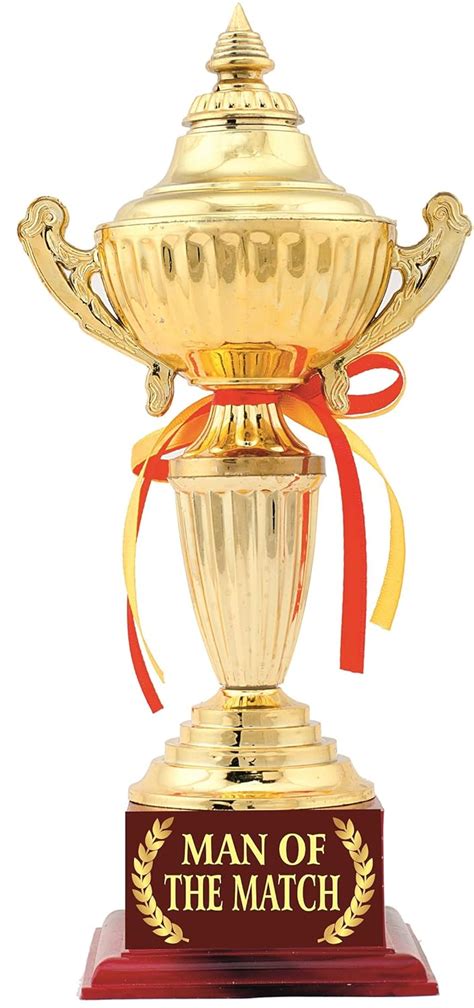 Man of The Match Sports Trophy : Award by Aark India (PC 00509): Amazon ...