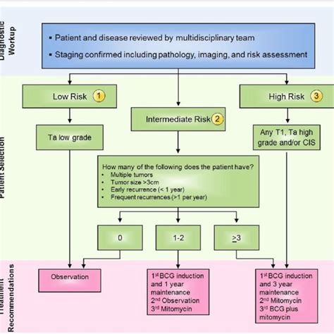 Ongoing Selected Immunotherapy Trials in Bladder Cancer | Download Table