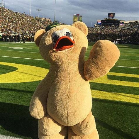 Ducky's 2016 Halloween costume! | Duck costumes, Oregon ducks football ...