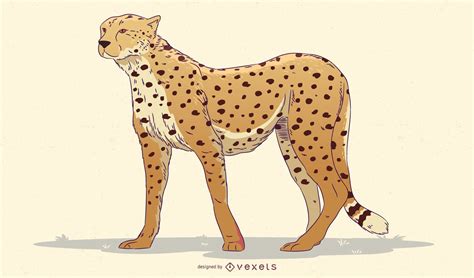 Cheetah Illustration Design Vector Download