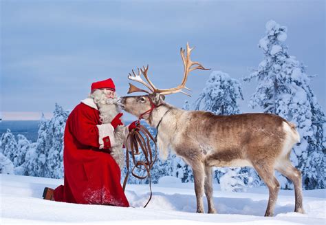 reindeer santa