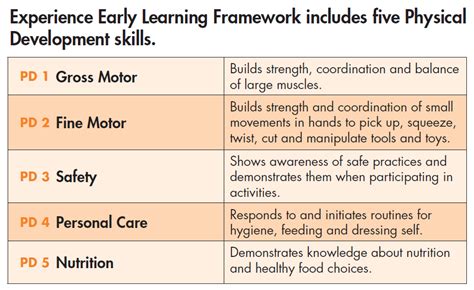 What is Physical Development? – Experience Early Learning